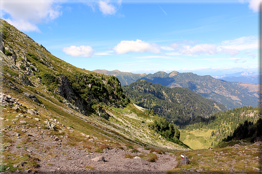 foto Forcella Pala del Becco